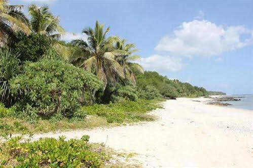 Alofa Beach Bungalows Lénakel Exteriör bild